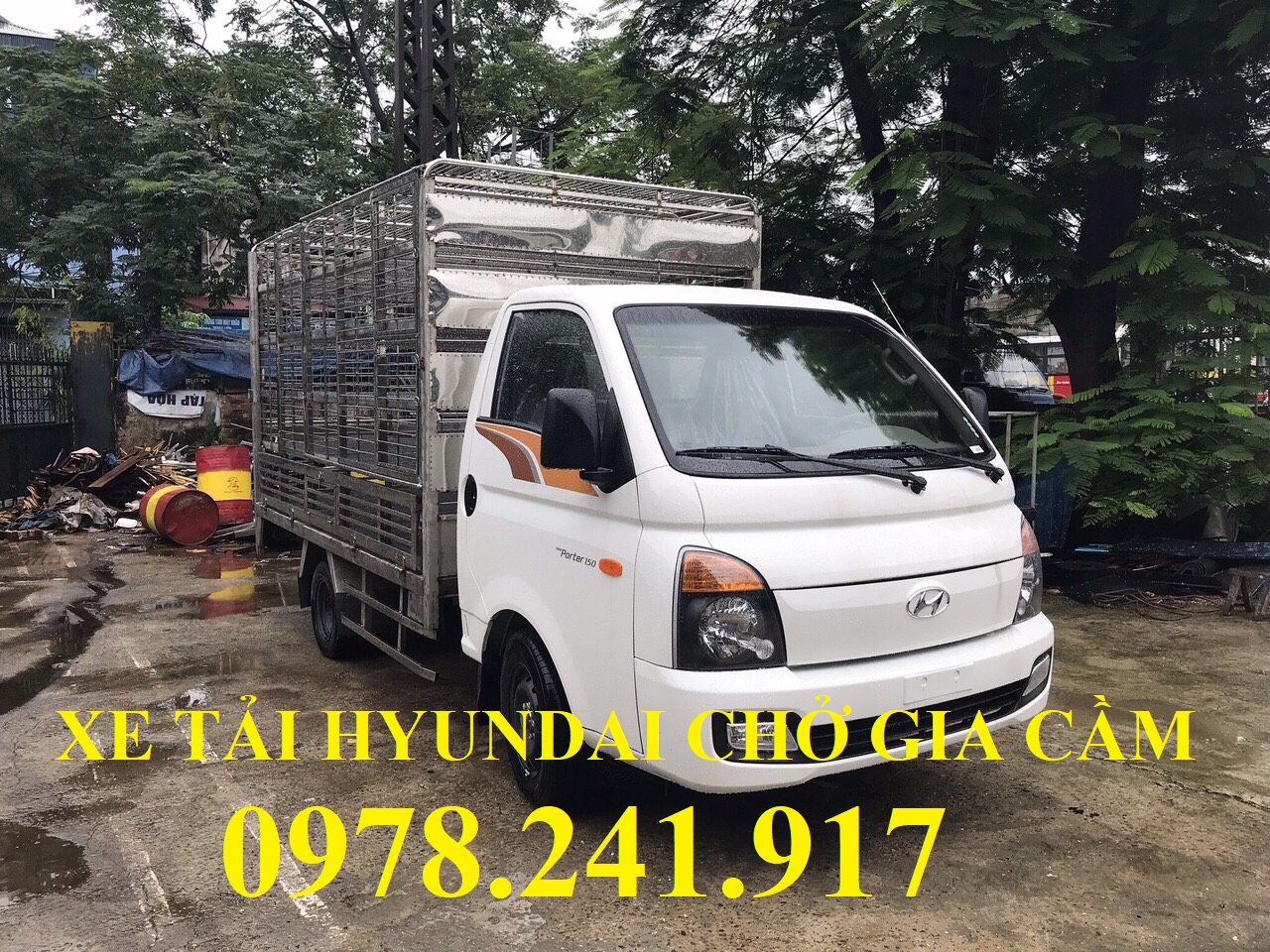xe tải hyundai 1,5 tấn thùng chở gia cầm
